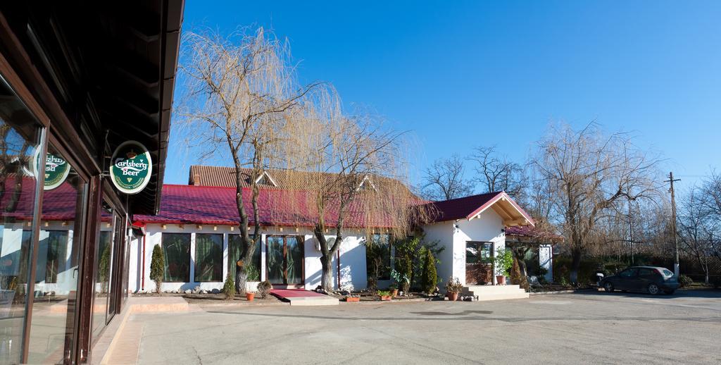 Pension Club Montana Cîmpina Dış mekan fotoğraf