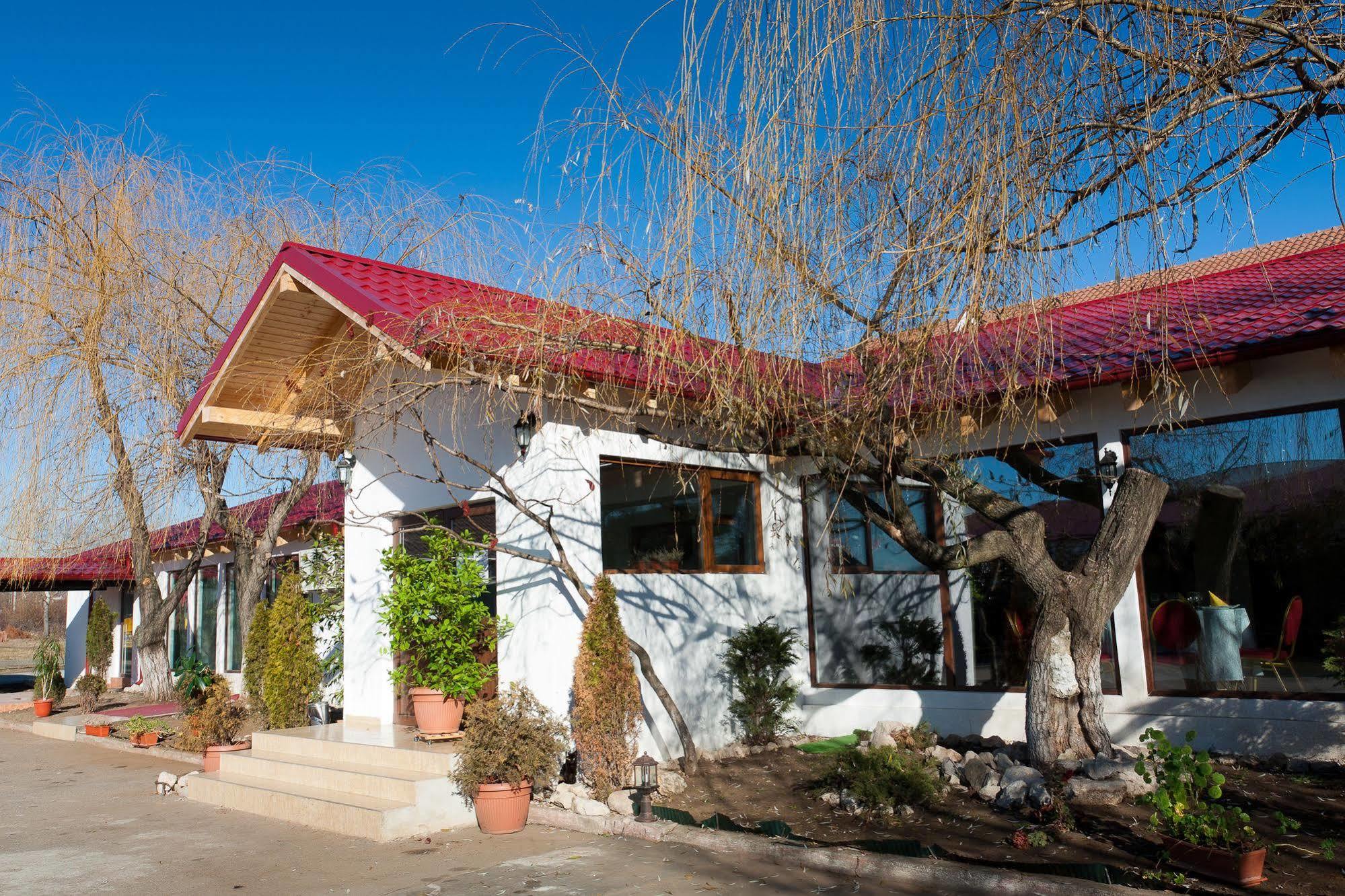 Pension Club Montana Cîmpina Dış mekan fotoğraf